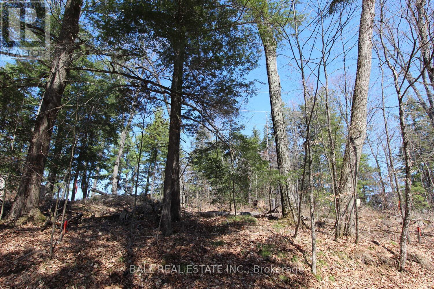 Pt2&3 Fire Route 223, Trent Lakes, Ontario  K0L 1J0 - Photo 24 - X12276411