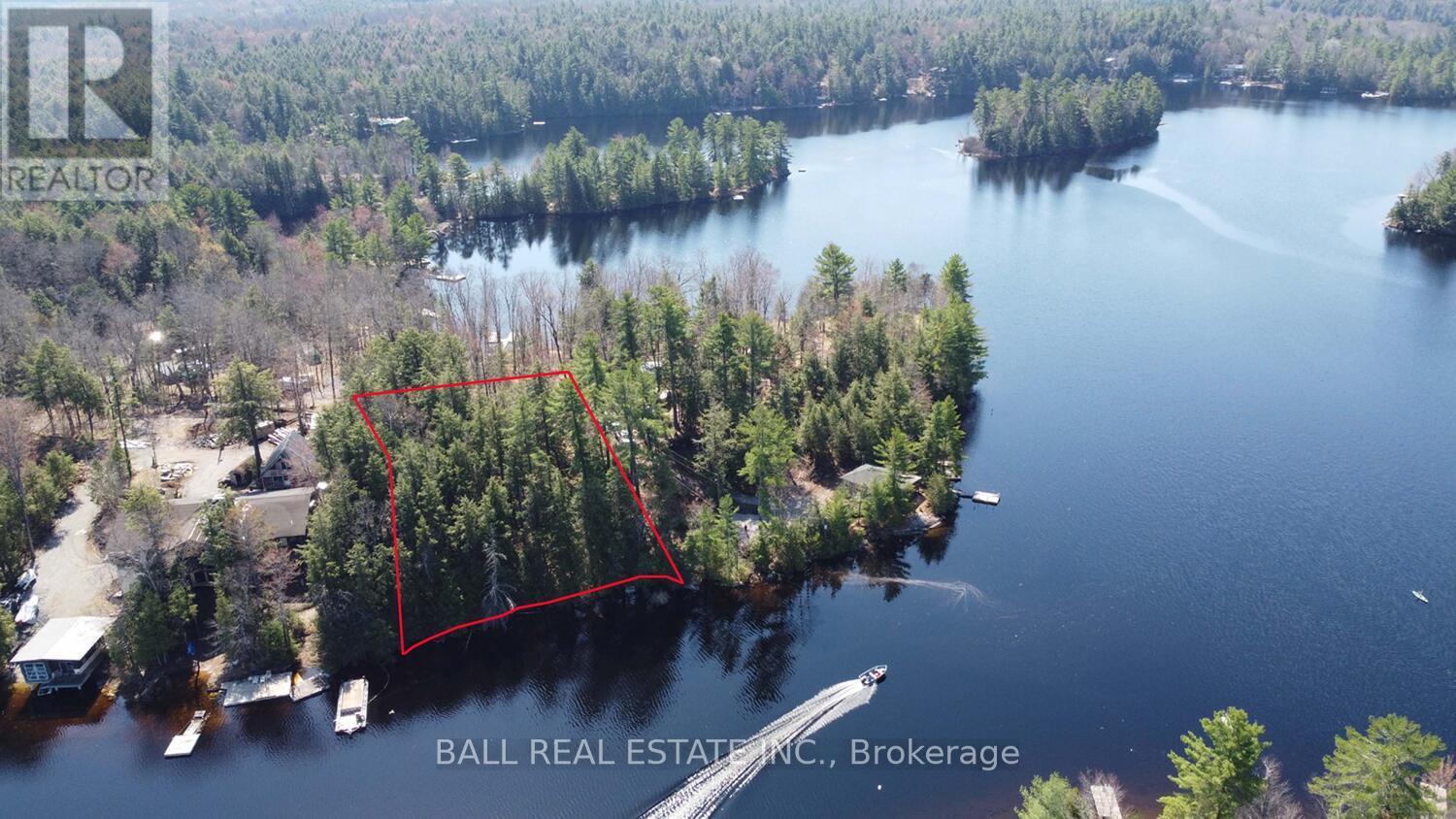 Pt2&3 Fire Route 223, Trent Lakes, Ontario  K0L 1J0 - Photo 3 - X12276411