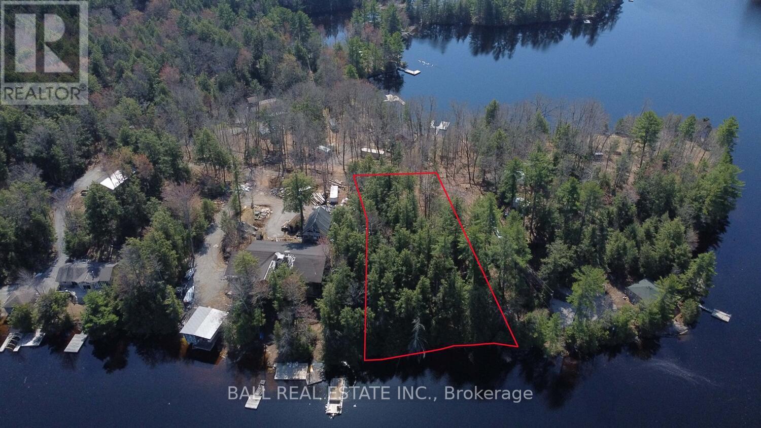 Pt2&3 Fire Route 223, Trent Lakes, Ontario  K0L 1J0 - Photo 7 - X12276411