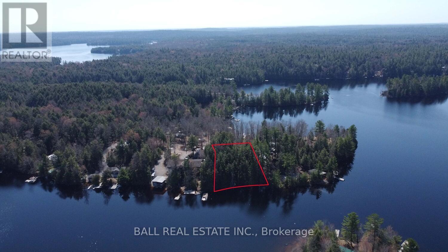 Pt2&3 Fire Route 223, Trent Lakes, Ontario  K0L 1J0 - Photo 8 - X12276411