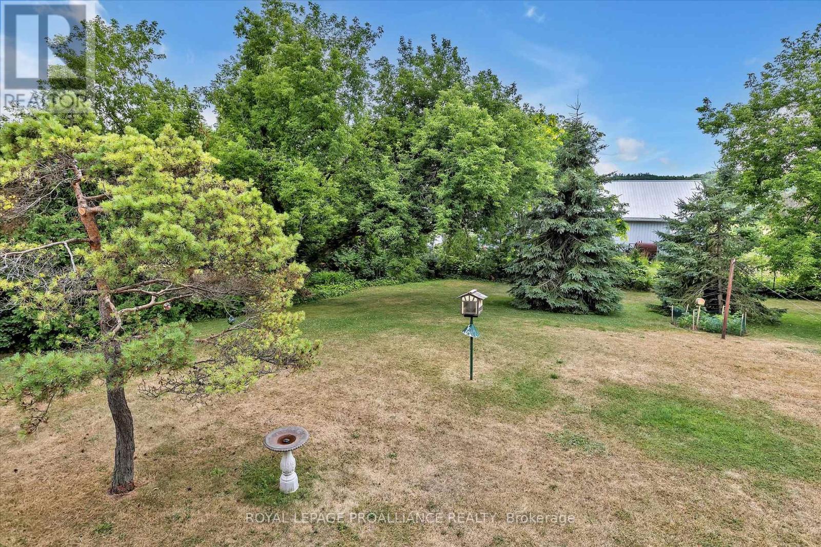 859 County Road 35, Trent Hills, Ontario  K0L 1L0 - Photo 20 - X12276773