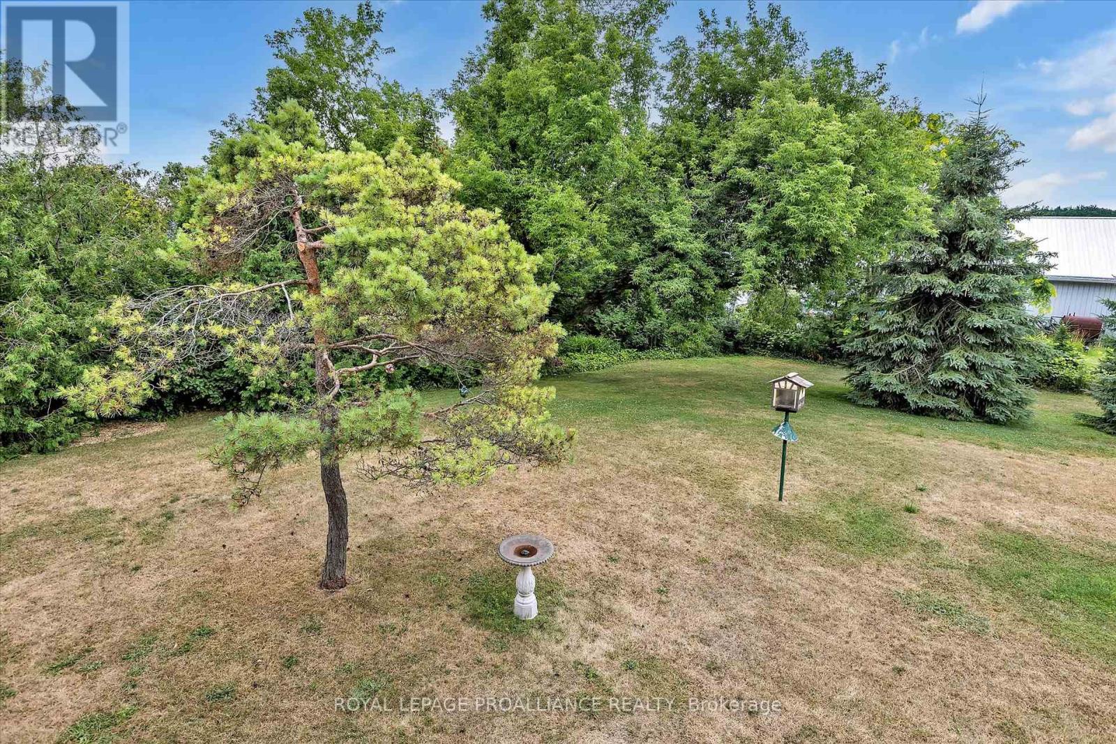 859 County Road 35, Trent Hills, Ontario  K0L 1L0 - Photo 21 - X12276773