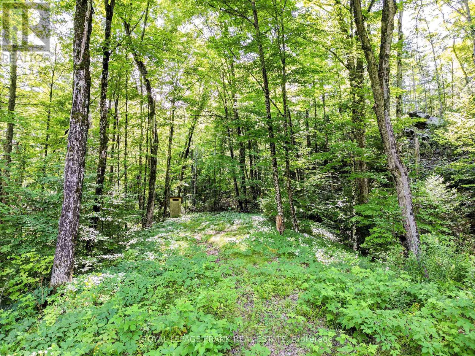 843 Lasswade Road, North Kawartha, Ontario  K0L 1A0 - Photo 10 - X12276962