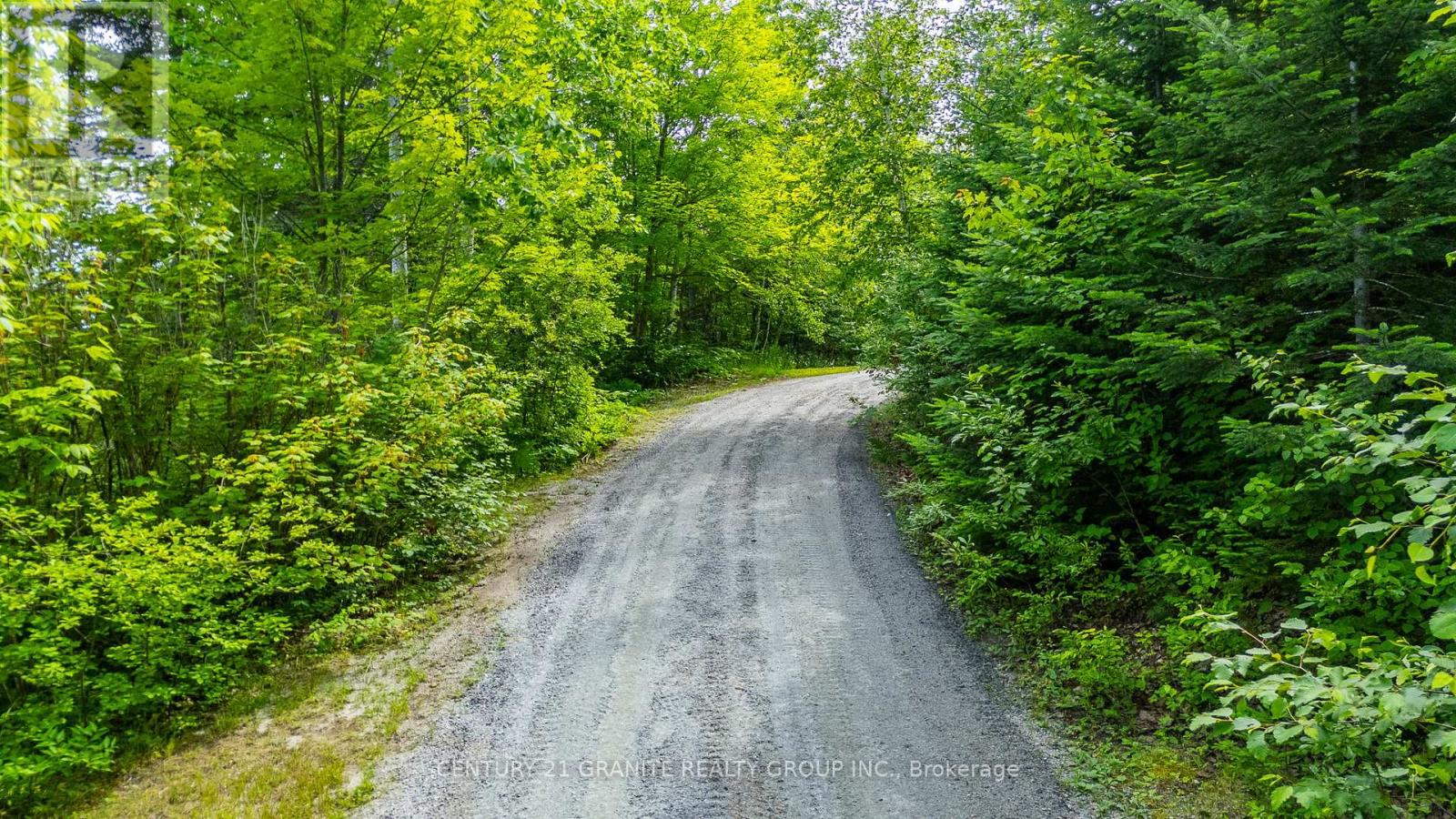 928 Lake St Peter Road, Hastings Highlands (Mcclure Ward), Ontario  K0L 2K0 - Photo 3 - X12278722