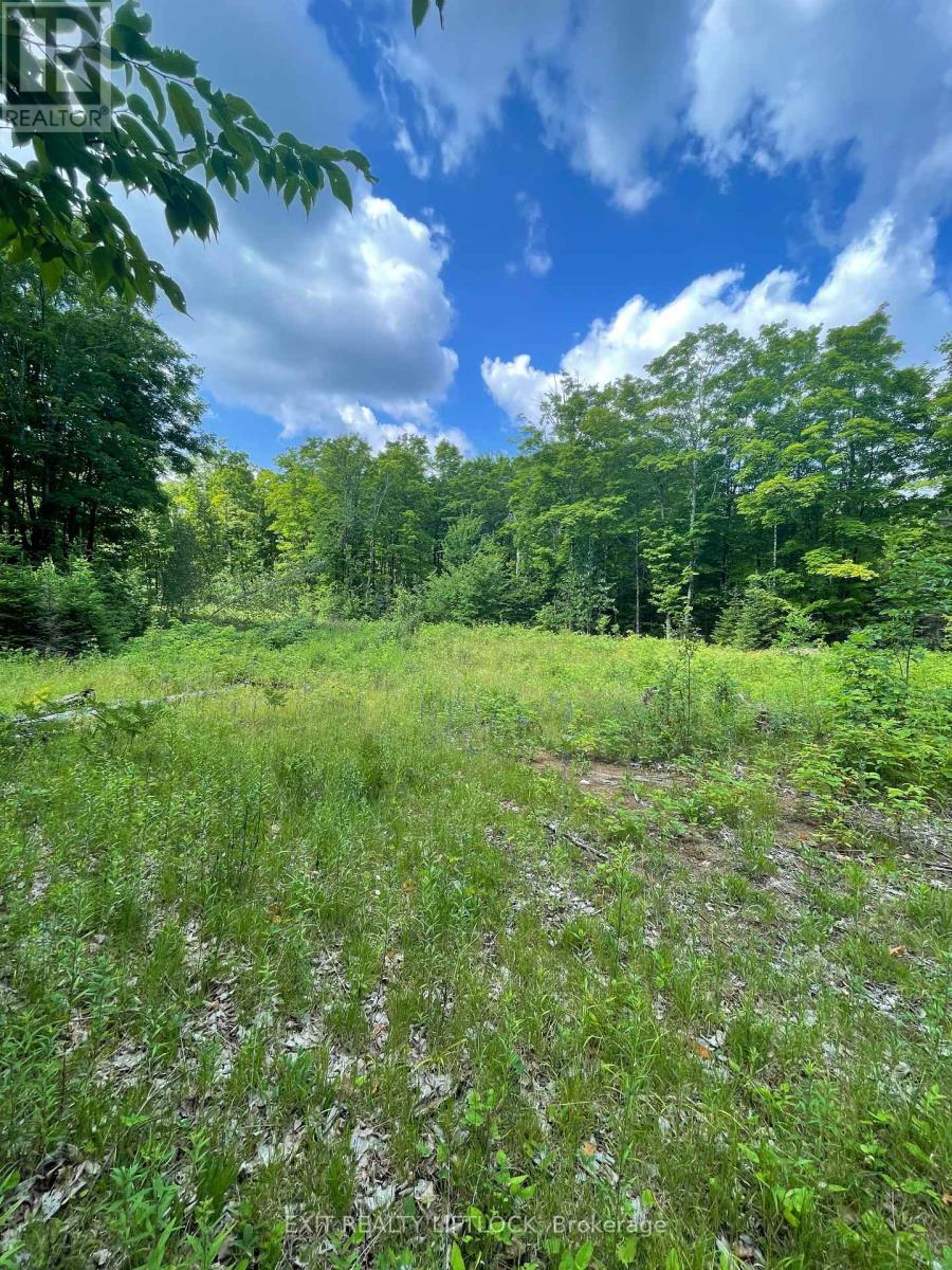 1387 County Road 620, North Kawartha, Ontario  K0L 1A0 - Photo 10 - X12279087