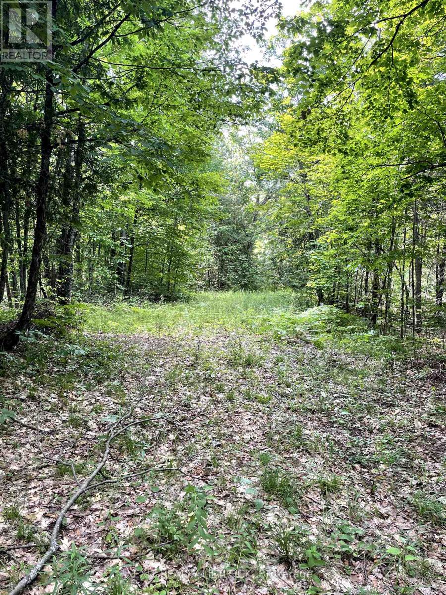 1387 County Road 620, North Kawartha, Ontario  K0L 1A0 - Photo 8 - X12279087