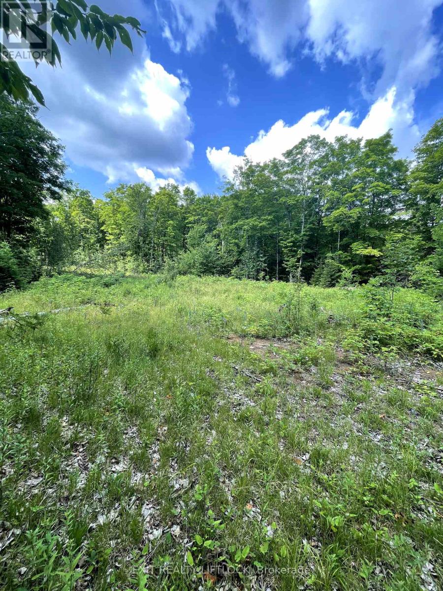 1387 County Road 620, North Kawartha, Ontario  K0L 1A0 - Photo 9 - X12279087