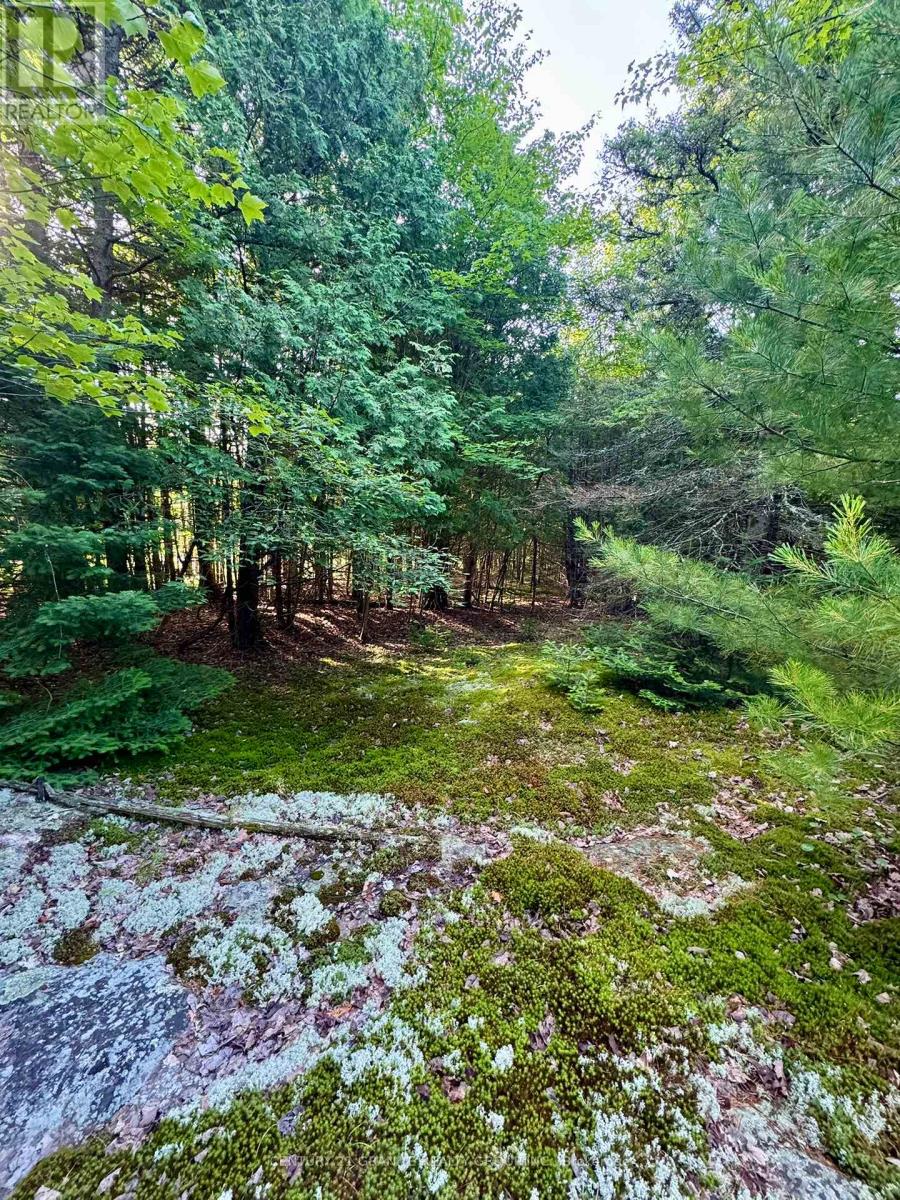 5280 Boulter Road, Carlow/mayo (Mayo Ward), Ontario  K0L 1G0 - Photo 14 - X12279188