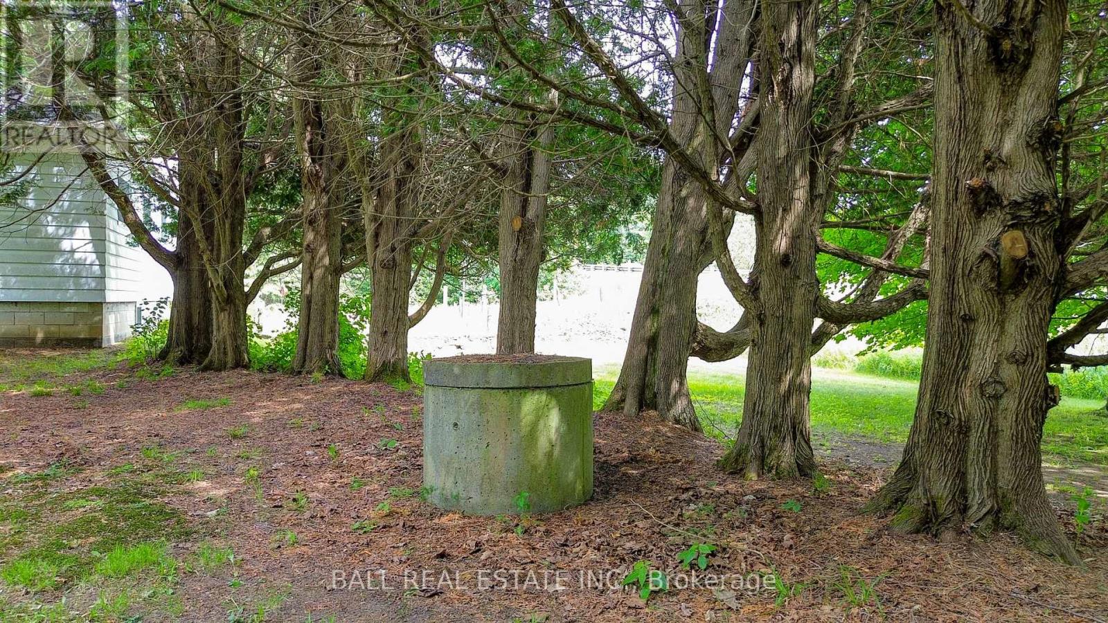 4886 Highway 620, Wollaston, Ontario  K0L 1P0 - Photo 29 - X12279729