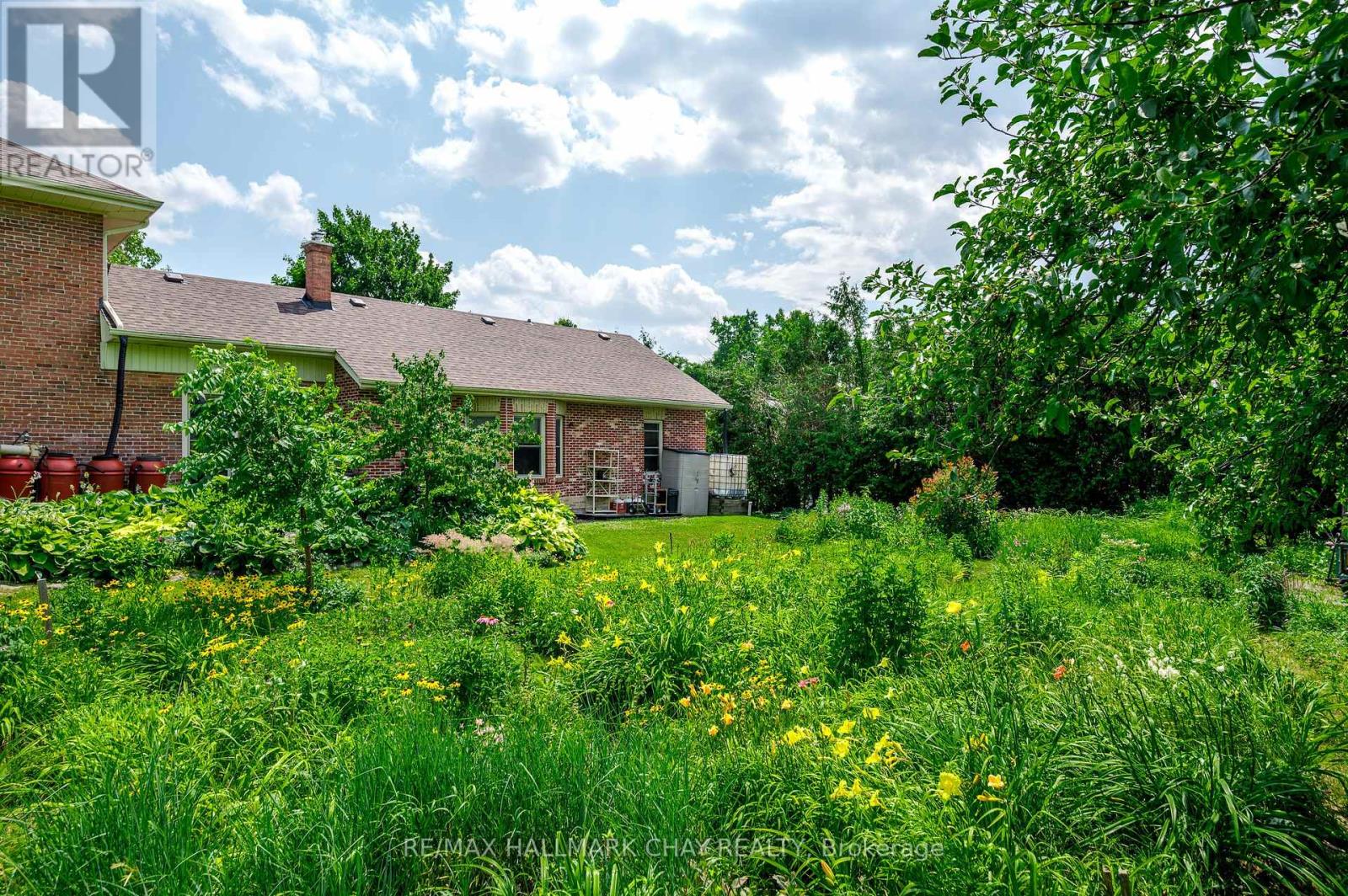 136 County 4 Road, Douro-Dummer, Ontario  K9L 1V6 - Photo 43 - X12279813