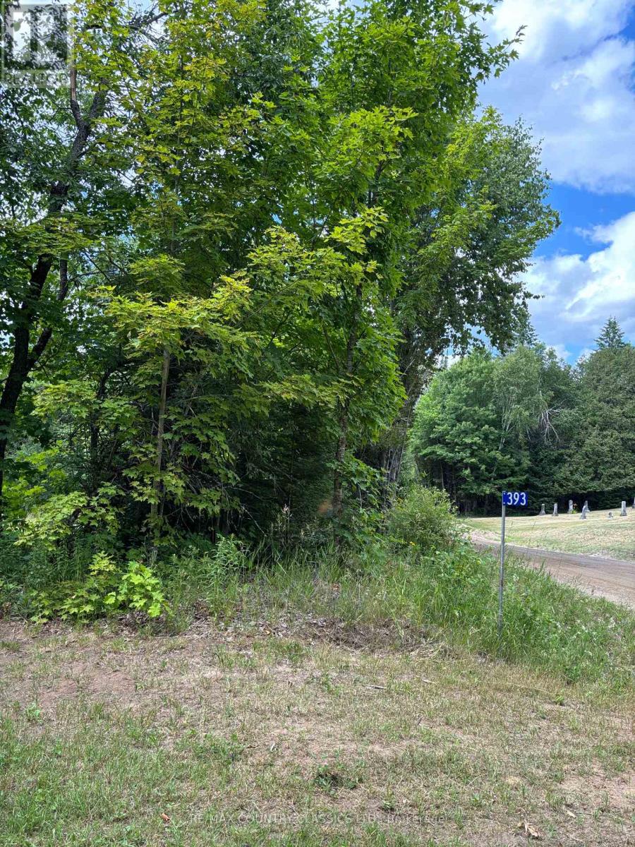 393 Rose Island Road, Wollaston, Ontario  K0L 1P0 - Photo 1 - X12280019