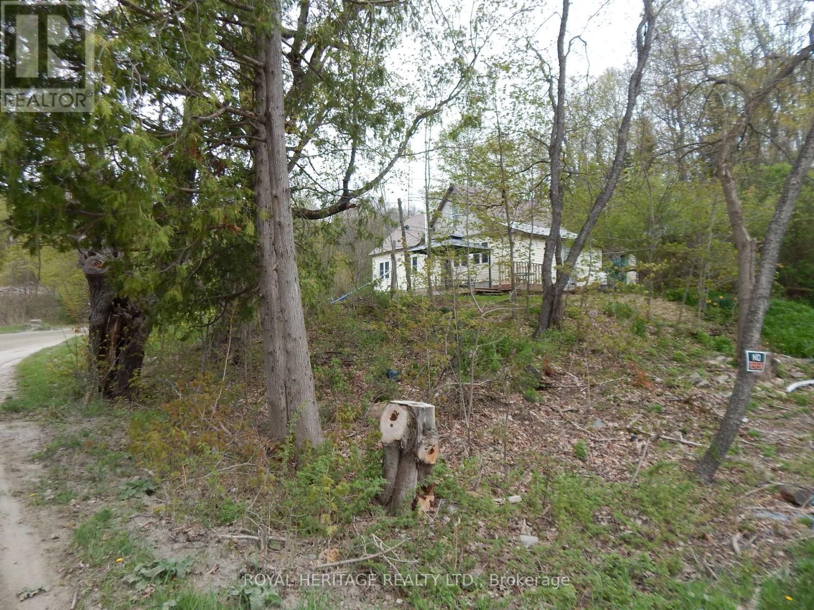 256 Trout Lake Road, Faraday, Ontario  K0L 1C0 - Photo 14 - X12280265