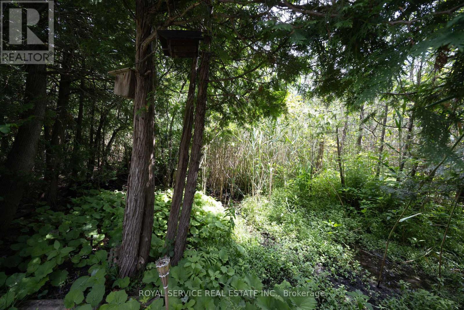 30 Brookside Street, Cavan Monaghan (Millbrook Village), Ontario  L0A 1G0 - Photo 42 - X12280830