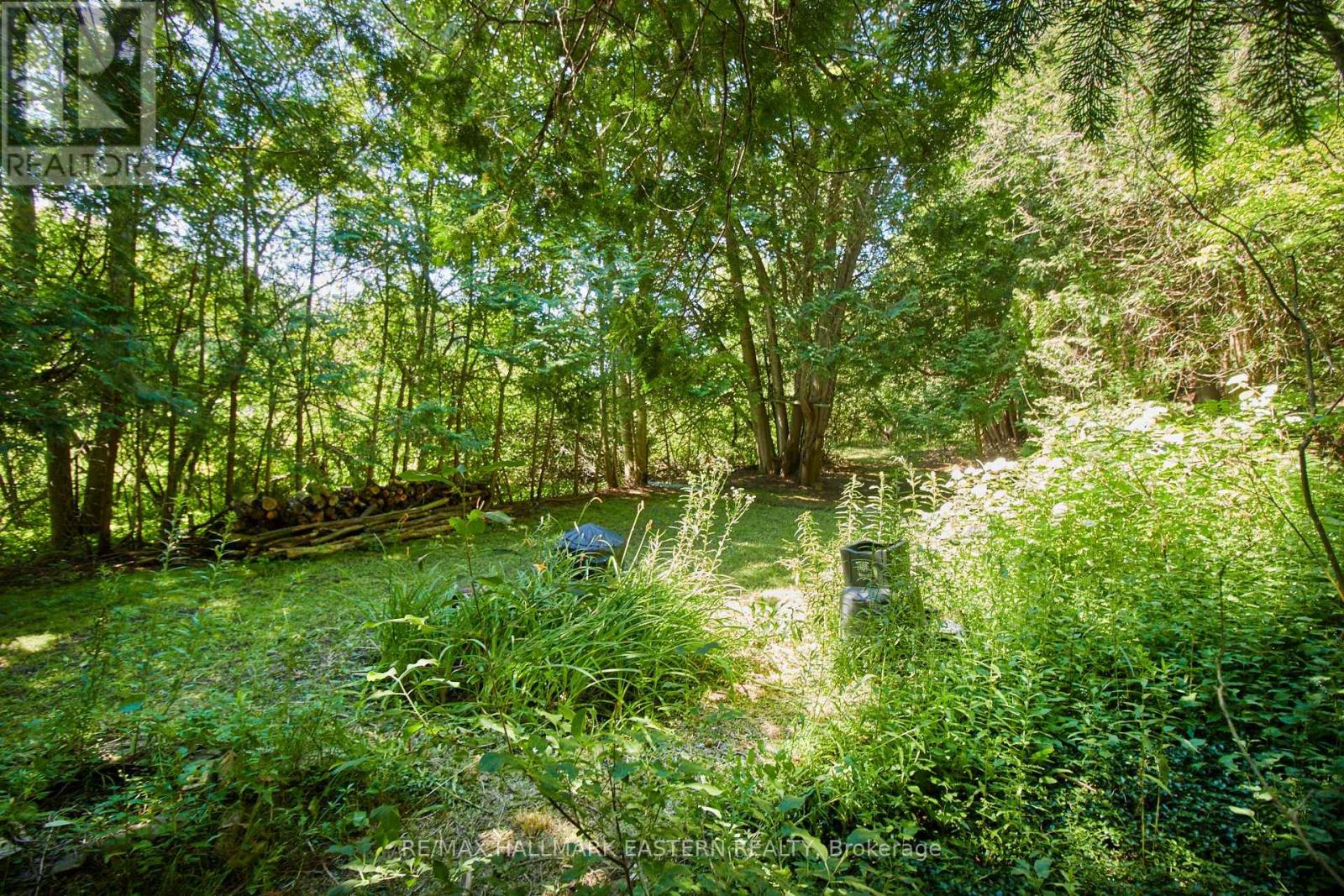 732 Zion 4th Line, Cavan Monaghan (Cavan Twp), Ontario  L0A 1G0 - Photo 13 - X12280948
