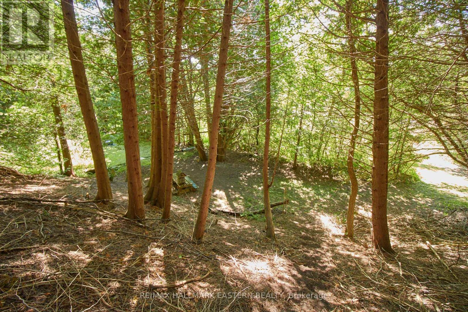 732 Zion 4th Line, Cavan Monaghan (Cavan Twp), Ontario  L0A 1G0 - Photo 14 - X12280948