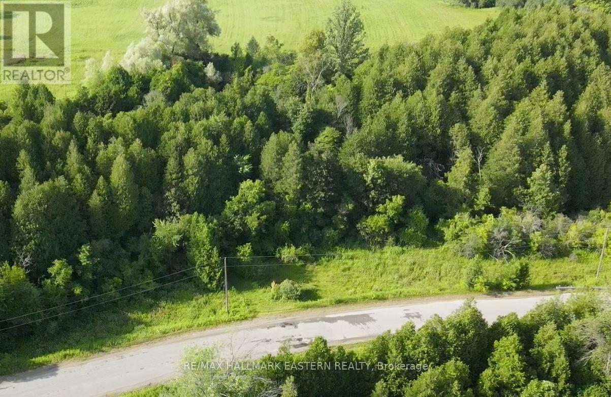 732 Zion 4th Line, Cavan Monaghan (Cavan Twp), Ontario  L0A 1G0 - Photo 5 - X12280948