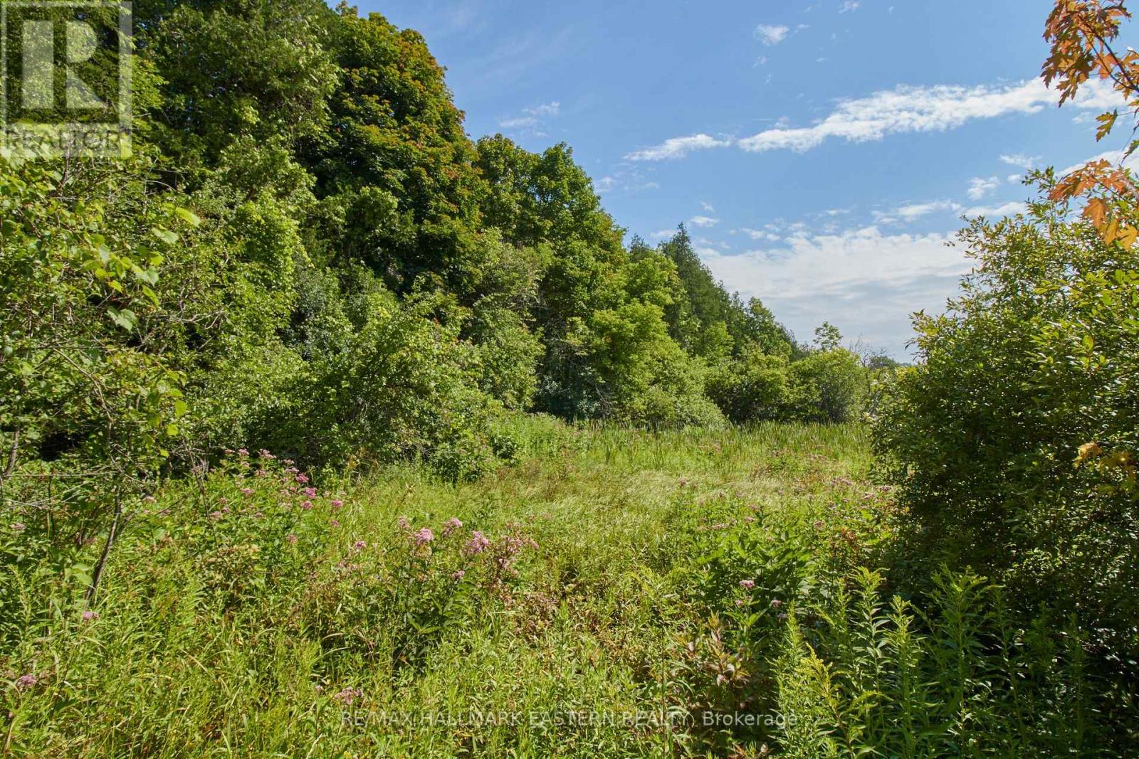 732 Zion 4th Line, Cavan Monaghan (Cavan Twp), Ontario  L0A 1G0 - Photo 6 - X12280948
