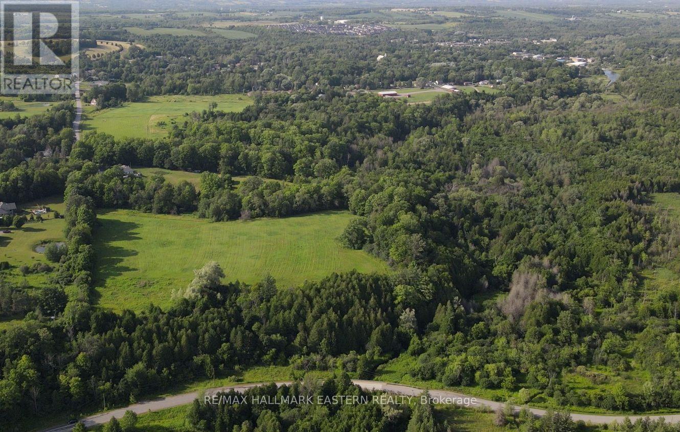 732 Zion 4th Line, Cavan Monaghan (Cavan Twp), Ontario  L0A 1G0 - Photo 7 - X12280948