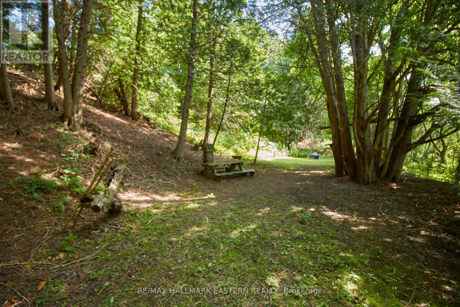 732 Zion 4th Line, Cavan Monaghan (Cavan Twp), Ontario  L0A 1G0 - Photo 9 - X12280948