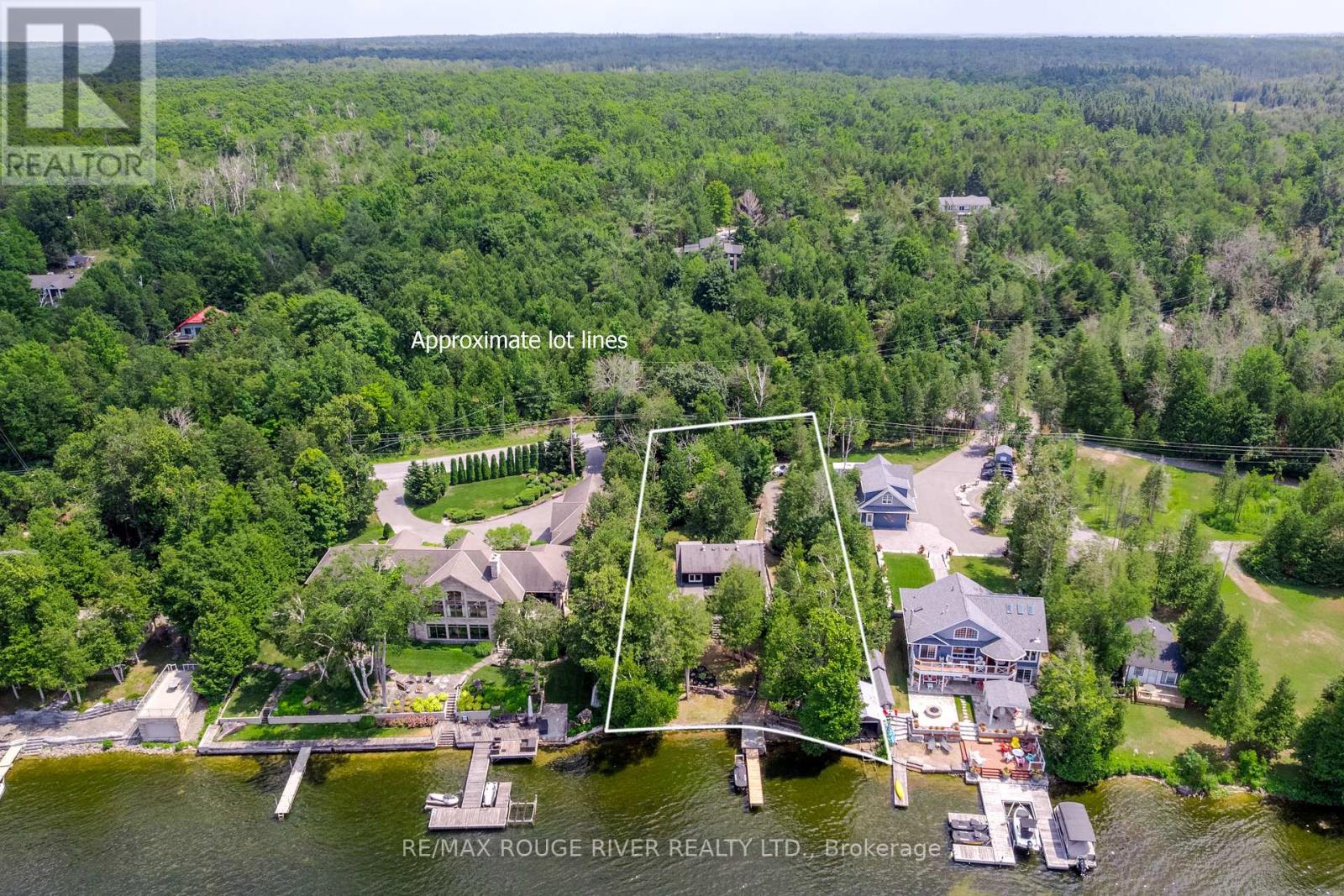 1280 Birchview Road, Douro-Dummer, Ontario  K0L 2H0 - Photo 3 - X12281604