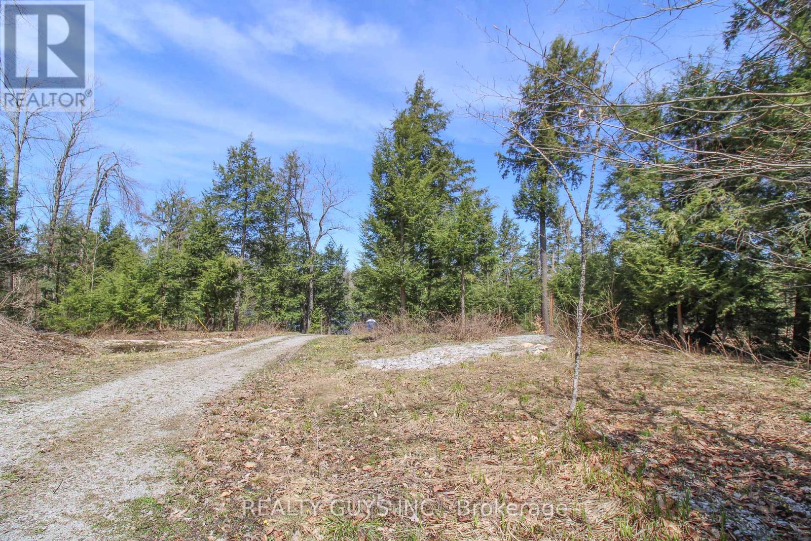 959 Beaver Lake Road, Trent Lakes, Ontario  K0L 1J0 - Photo 28 - X12282389
