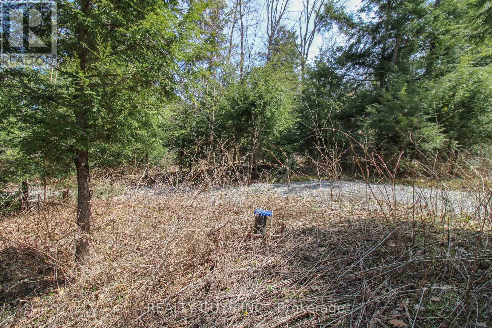 959 Beaver Lake Road, Trent Lakes, Ontario  K0L 1J0 - Photo 29 - X12282389