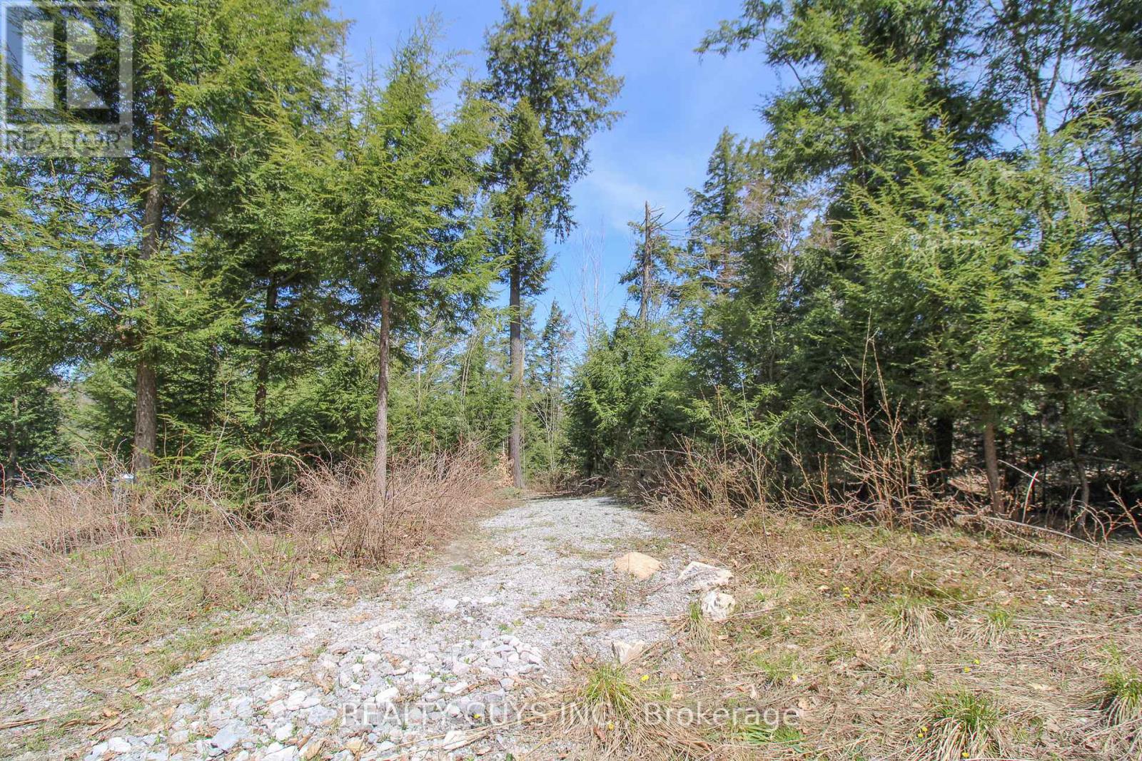 959 Beaver Lake Road, Trent Lakes, Ontario  K0L 1J0 - Photo 30 - X12282389