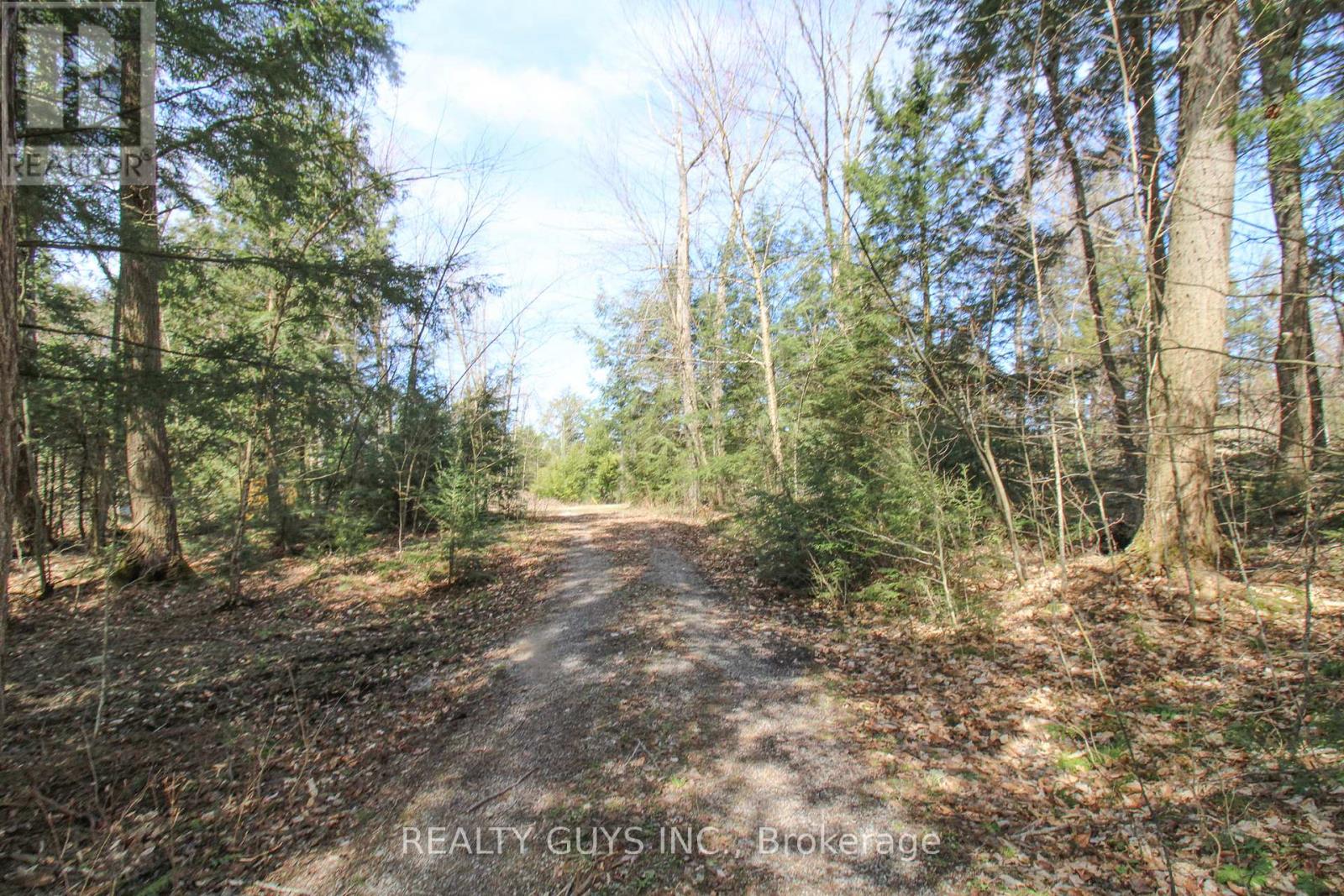959 Beaver Lake Road, Trent Lakes, Ontario  K0L 1J0 - Photo 33 - X12282389