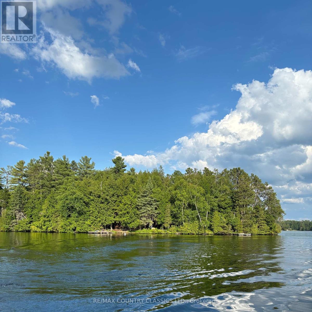 15500 Moulds Island, Highlands East (Cardiff Ward), Ontario  K0L 1C0 - Photo 2 - X12283010