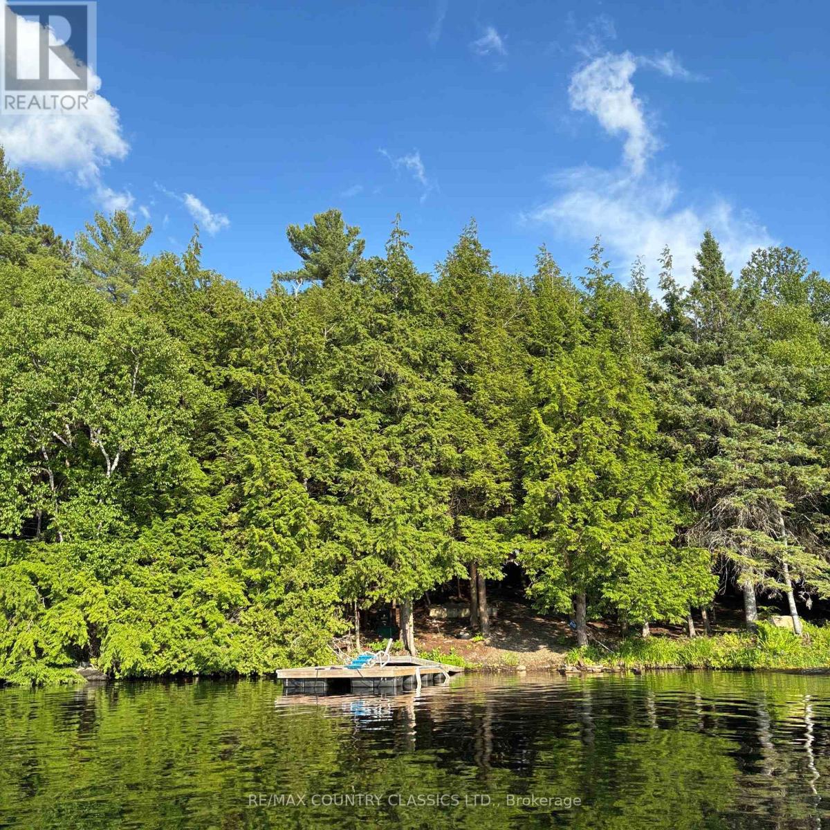 15500 Moulds Island, Highlands East (Cardiff Ward), Ontario  K0L 1C0 - Photo 3 - X12283010