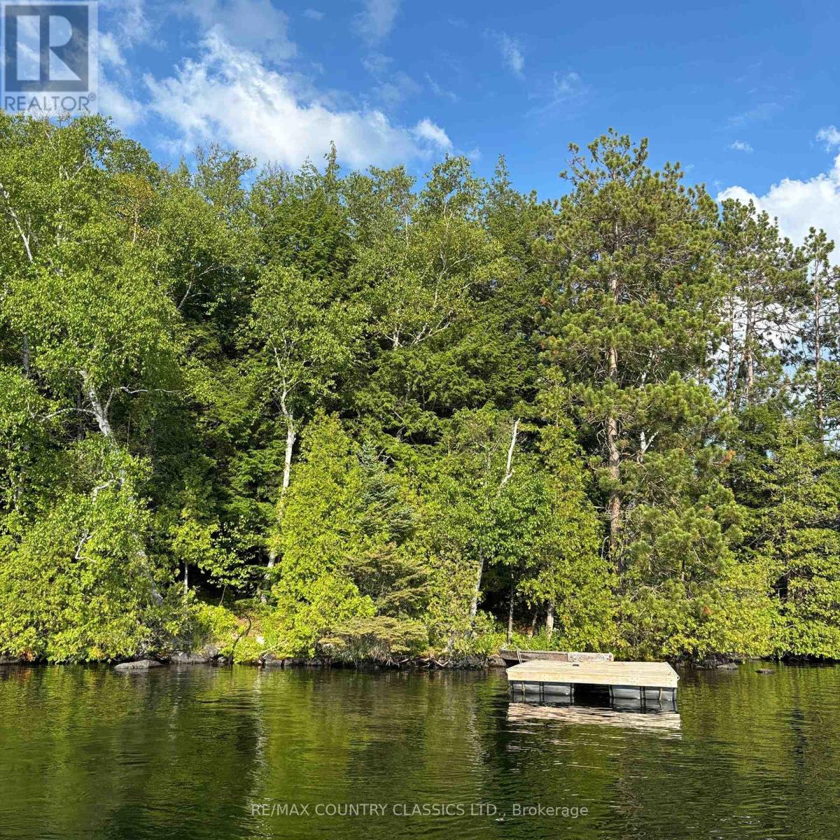 15500 Moulds Island, Highlands East (Cardiff Ward), Ontario  K0L 1C0 - Photo 4 - X12283010
