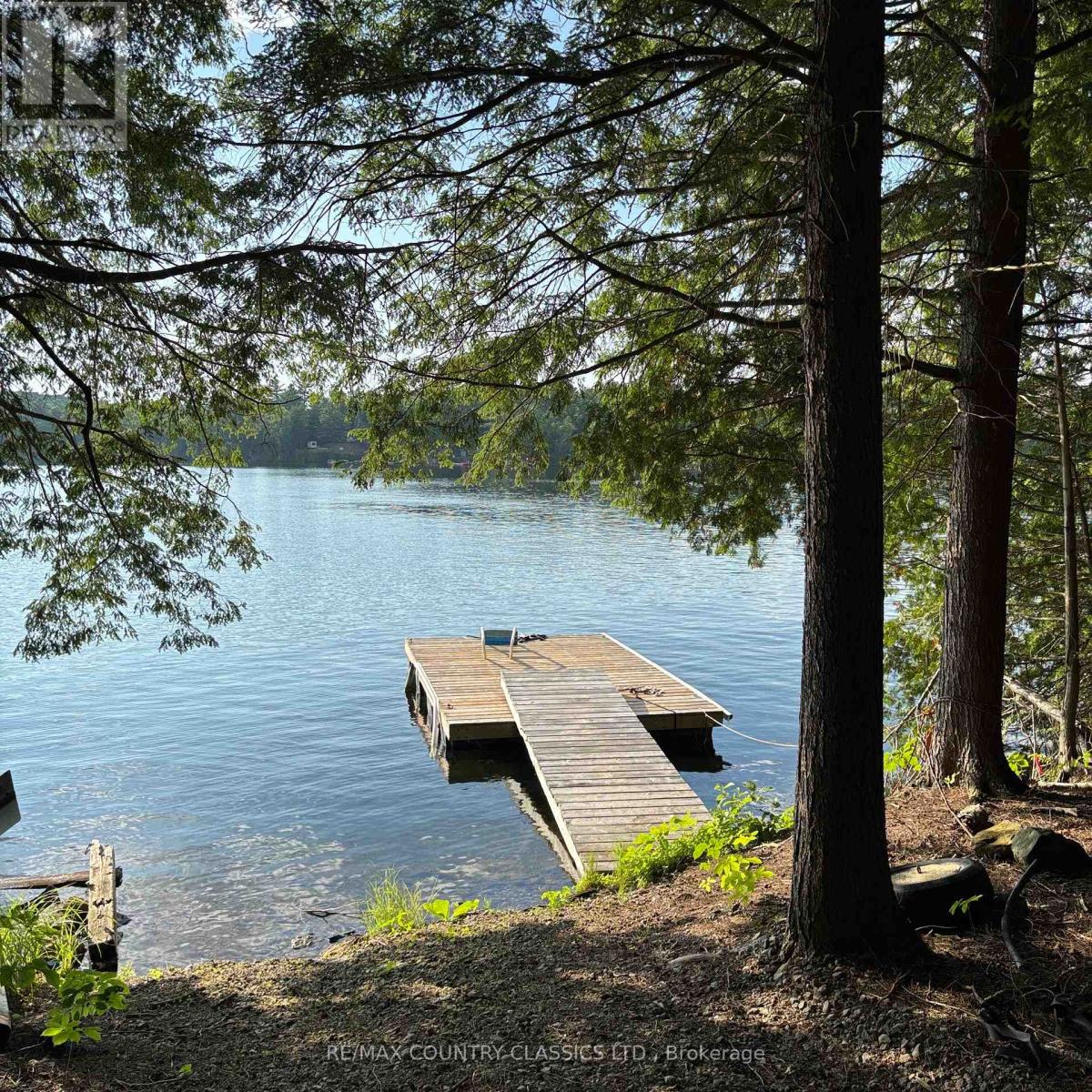 15500 Moulds Island, Highlands East (Cardiff Ward), Ontario  K0L 1C0 - Photo 5 - X12283010
