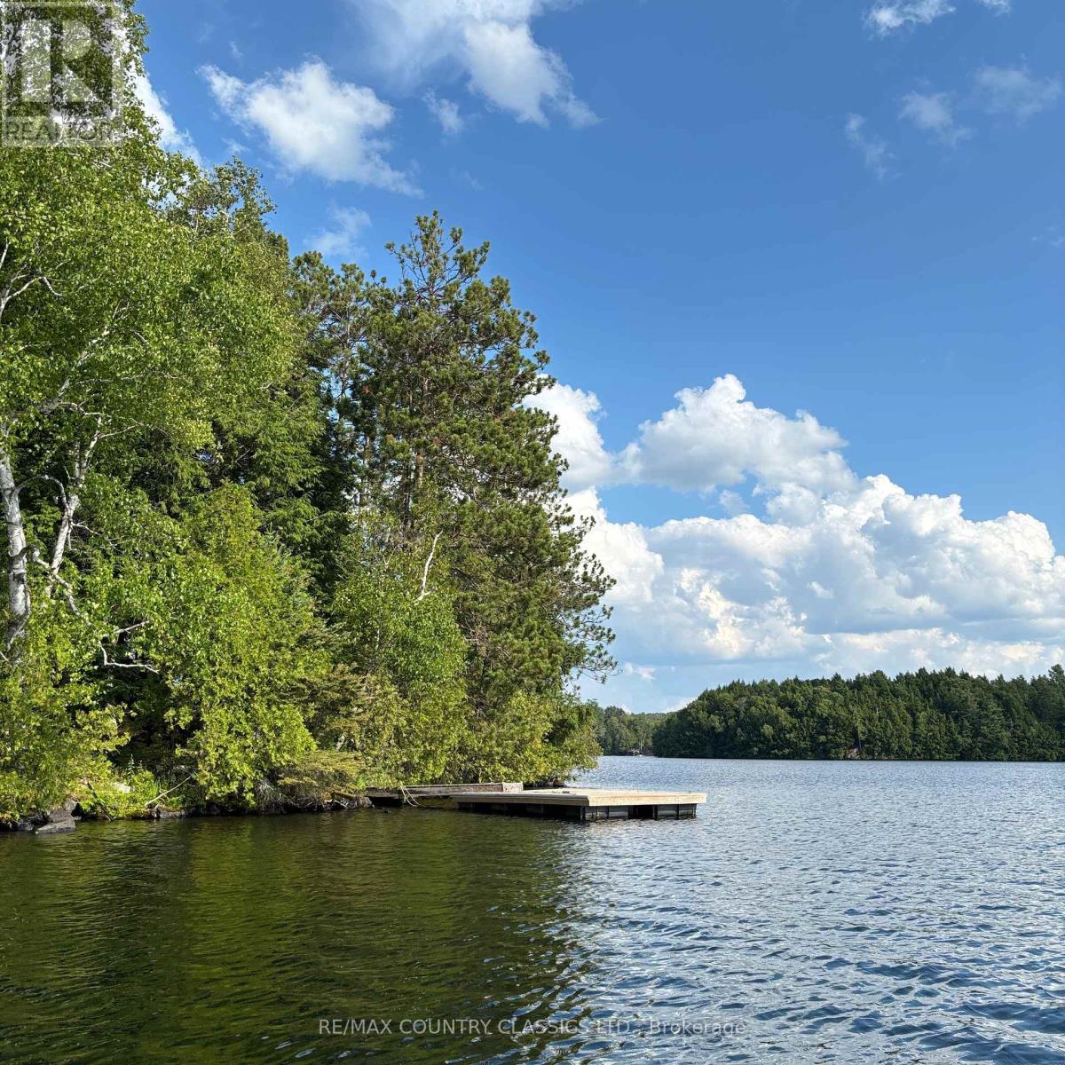 15500 Moulds Island, Highlands East (Cardiff Ward), Ontario  K0L 1C0 - Photo 6 - X12283010