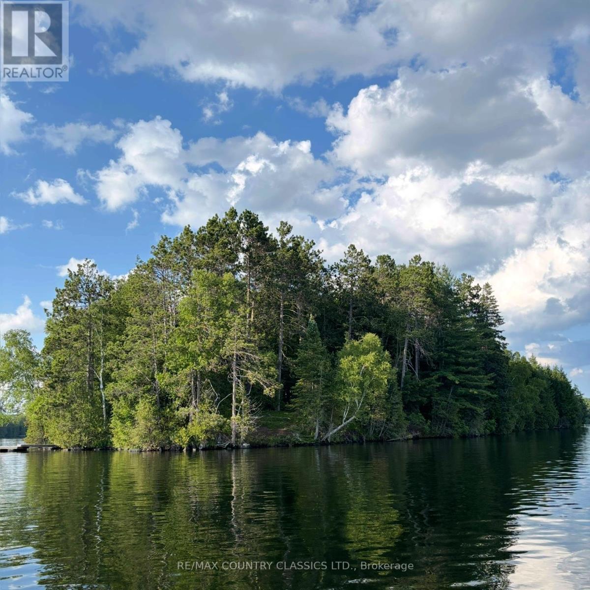 15500 Moulds Island, Highlands East (Cardiff Ward), Ontario  K0L 1C0 - Photo 7 - X12283010