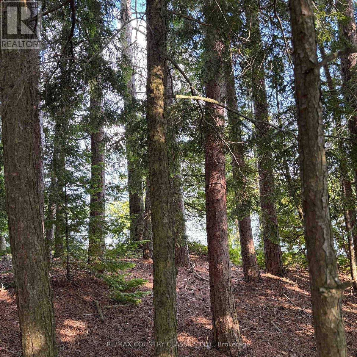 15500 Moulds Island, Highlands East (Cardiff Ward), Ontario  K0L 1C0 - Photo 8 - X12283010