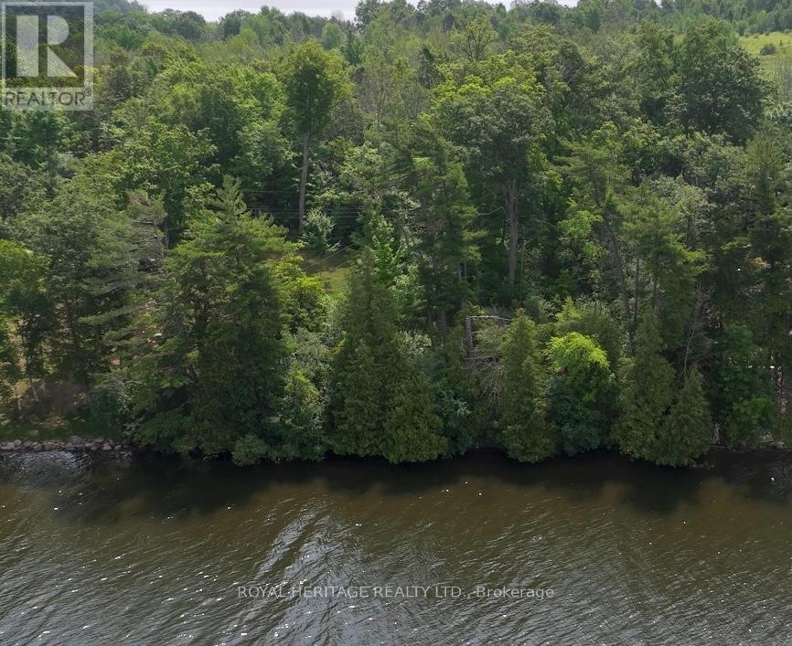 26 Cow Island, Otonabee-South Monaghan, Ontario  K0L 1V0 - Photo 2 - X12283110