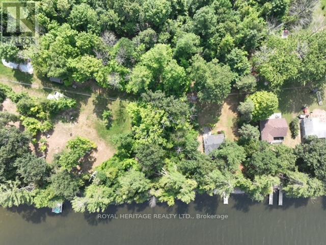 26 Cow Island, Otonabee-South Monaghan, Ontario  K0L 1V0 - Photo 5 - X12283110