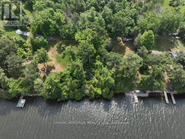 26 Cow Island, Otonabee-South Monaghan, Ontario  K0L 1V0 - Photo 6 - X12283110