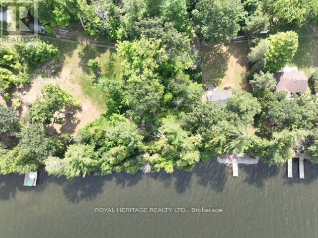 26 Cow Island, Otonabee-South Monaghan, Ontario  K0L 1V0 - Photo 7 - X12283110