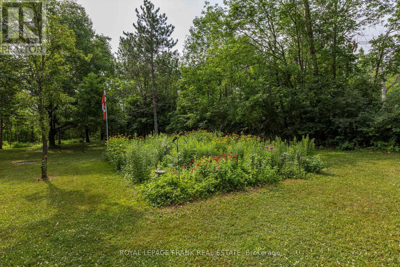 10 Darvell Road, Trent Lakes, Ontario  K0L 1J0 - Photo 34 - X12283436