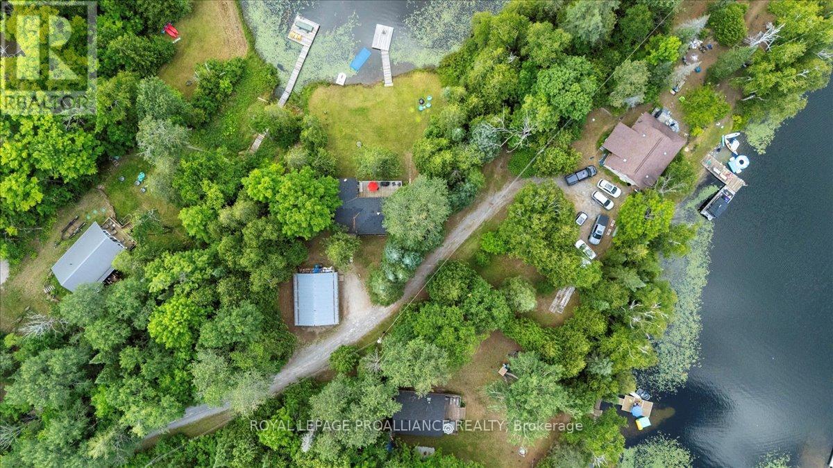 17 Halcomb Lane, Limerick, Ontario  K0L 1P0 - Photo 6 - X12283706