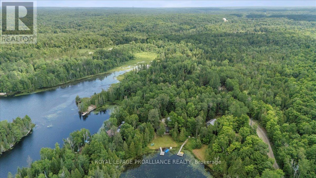 17 Halcomb Lane, Limerick, Ontario  K0L 1P0 - Photo 8 - X12283706