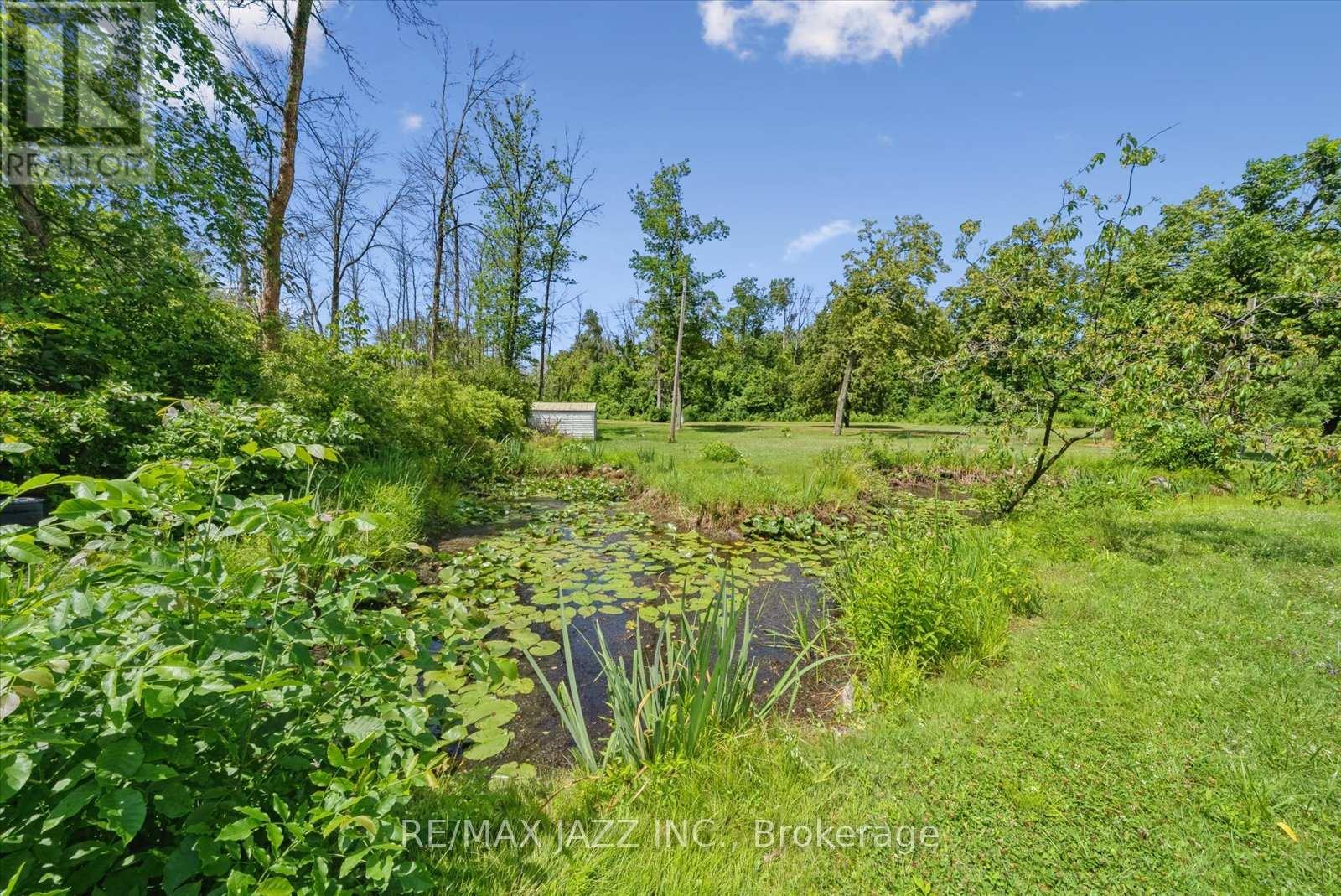 533 Shady Point Lane, Asphodel-Norwood, Ontario  K0L 1Y0 - Photo 28 - X12284892