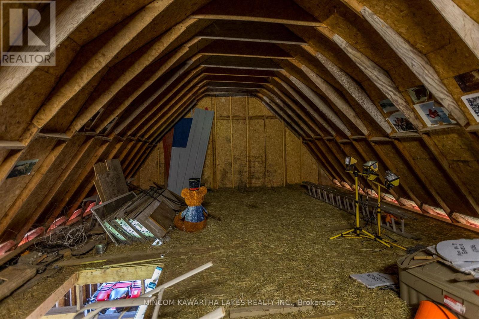 1405 Hiawatha Line, Otonabee-South Monaghan, Ontario  K9J 6X8 - Photo 38 - X12285387