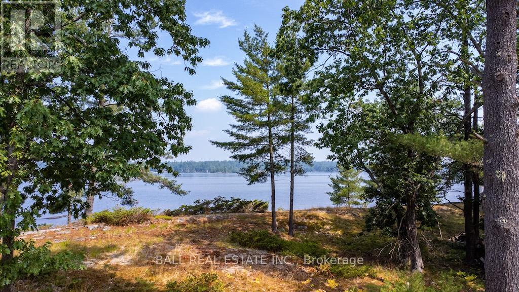 4446 Is 107 Stoney Lake, North Kawartha, Ontario  K0L 2H0 - Photo 35 - X12285471