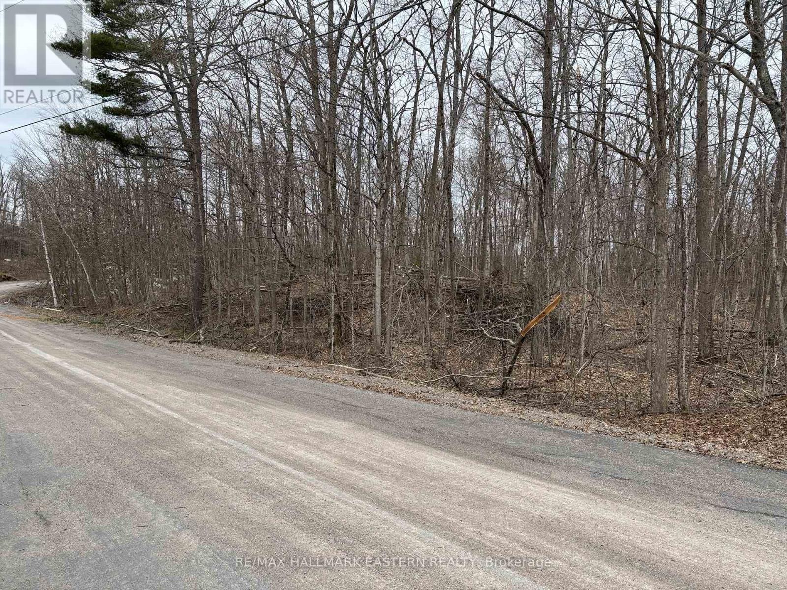 96 Woodland Court, Trent Lakes, Ontario  K0L 1J0 - Photo 2 - X12285606