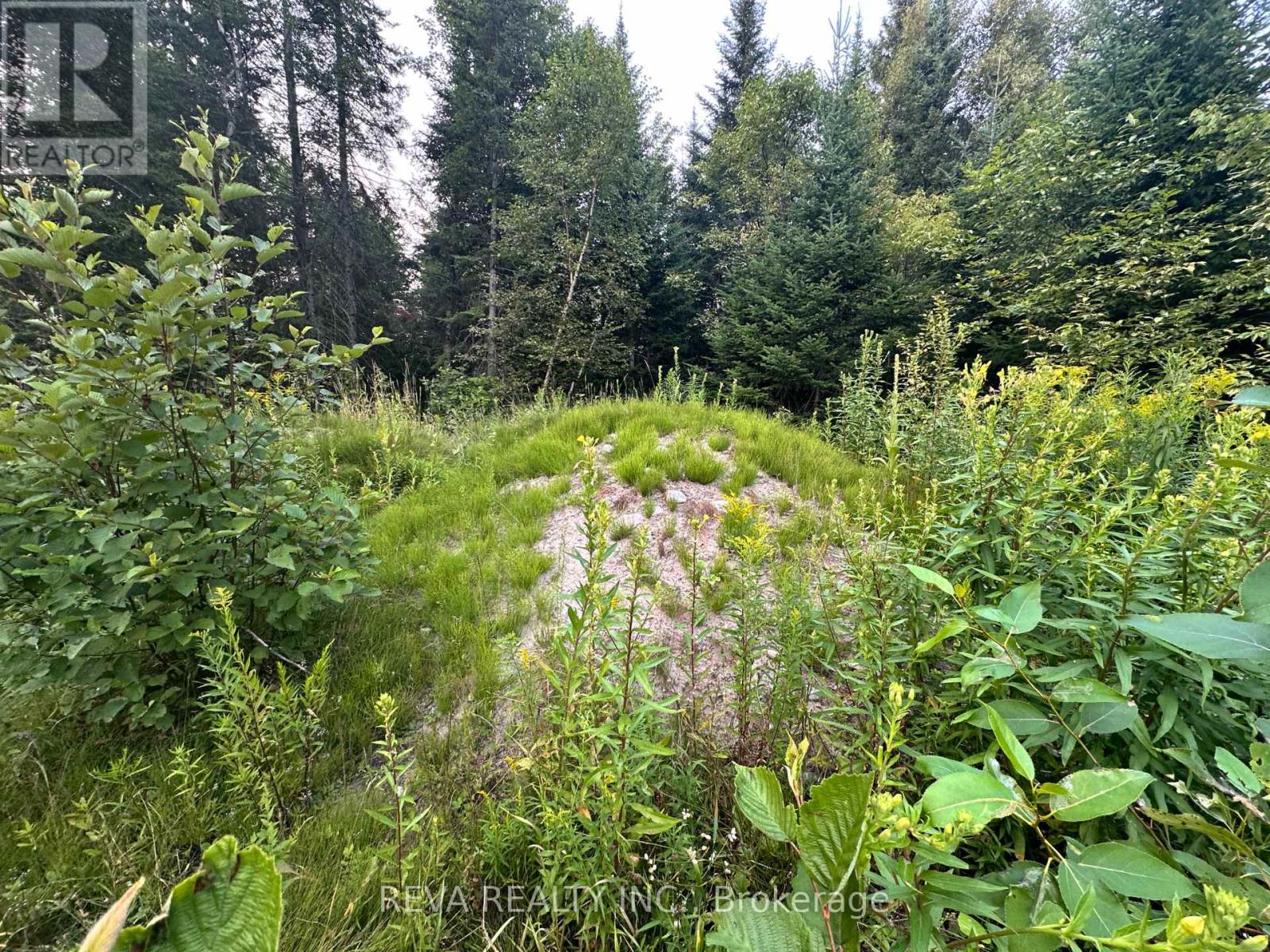 00 Highway 62 N, Hastings Highlands (Monteagle Ward), Ontario  K0L 2S0 - Photo 10 - X12285932