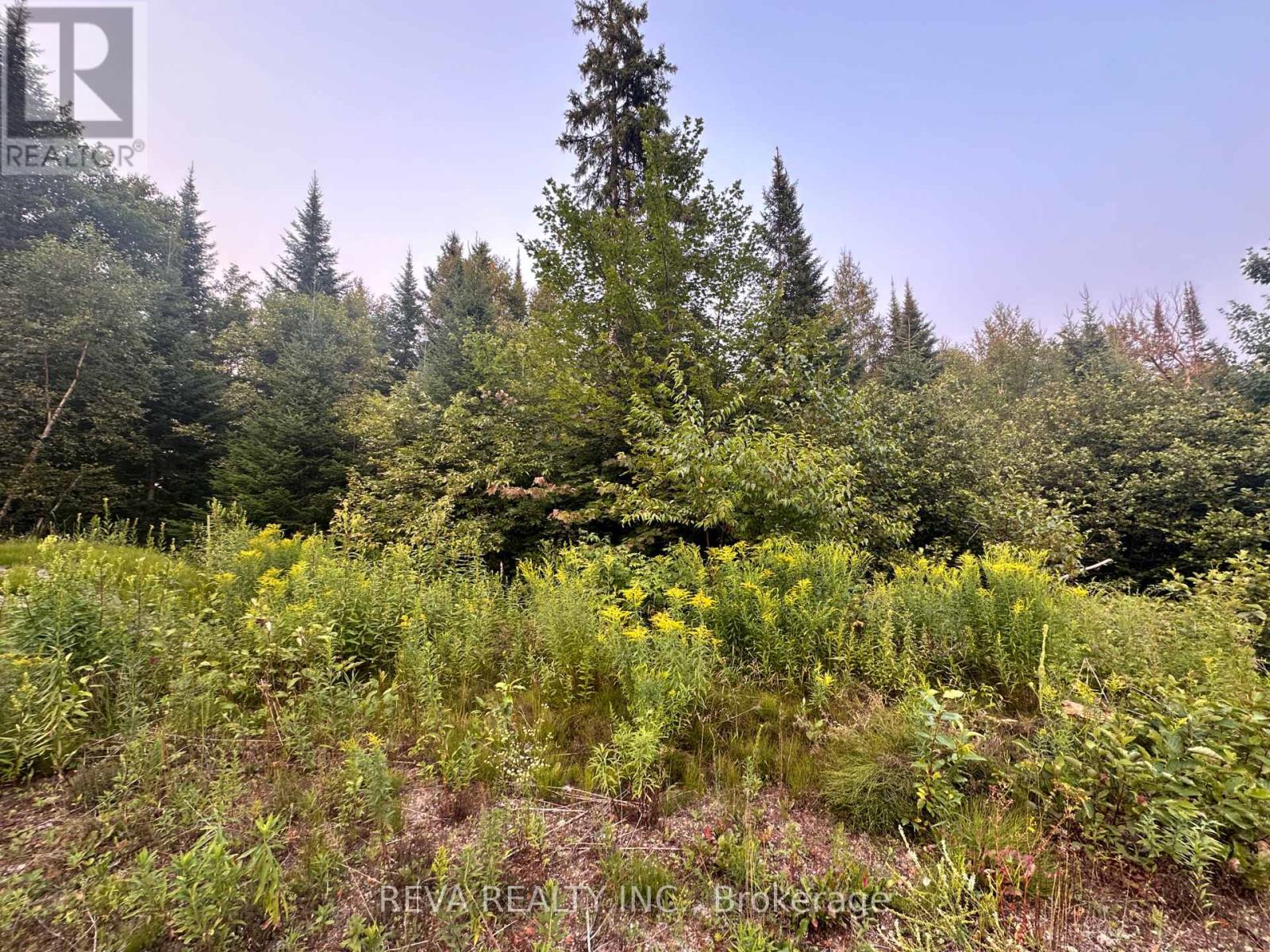 00 Highway 62 N, Hastings Highlands (Monteagle Ward), Ontario  K0L 2S0 - Photo 11 - X12285932