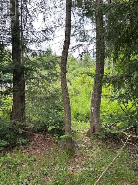 00 Highway 62 N, Hastings Highlands (Monteagle Ward), Ontario  K0L 2S0 - Photo 14 - X12285932