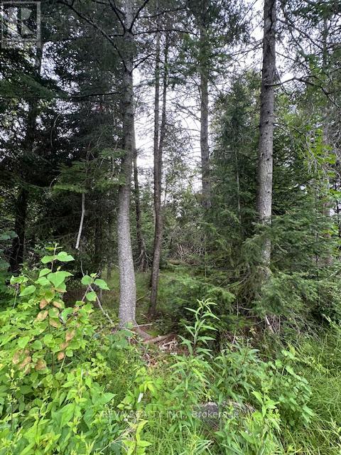 00 Highway 62 N, Hastings Highlands (Monteagle Ward), Ontario  K0L 2S0 - Photo 15 - X12285932